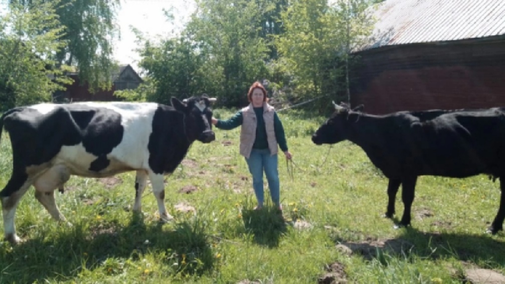Семья из брянского села Творишино заключила соцконтракт на ведение ЛПХ