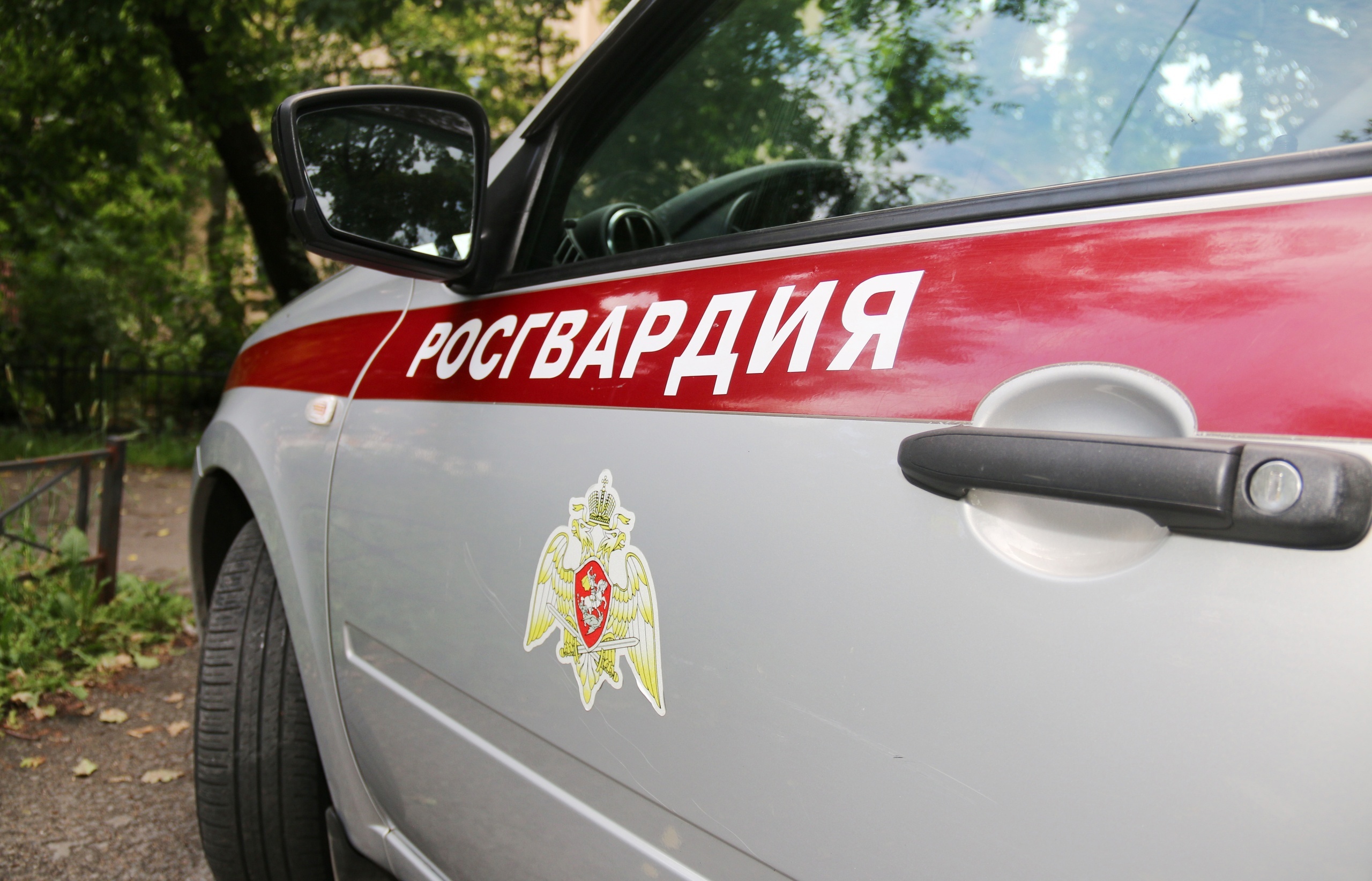 Более 20 правонарушений за прошедшую неделю пресекли брянские росгвардейцы