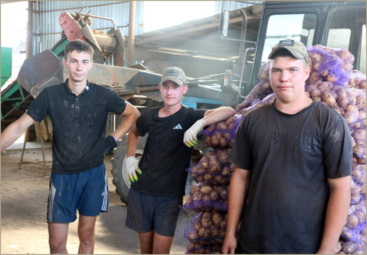 Аграрии Стародубского округа приступили к уборке раннего картофеля