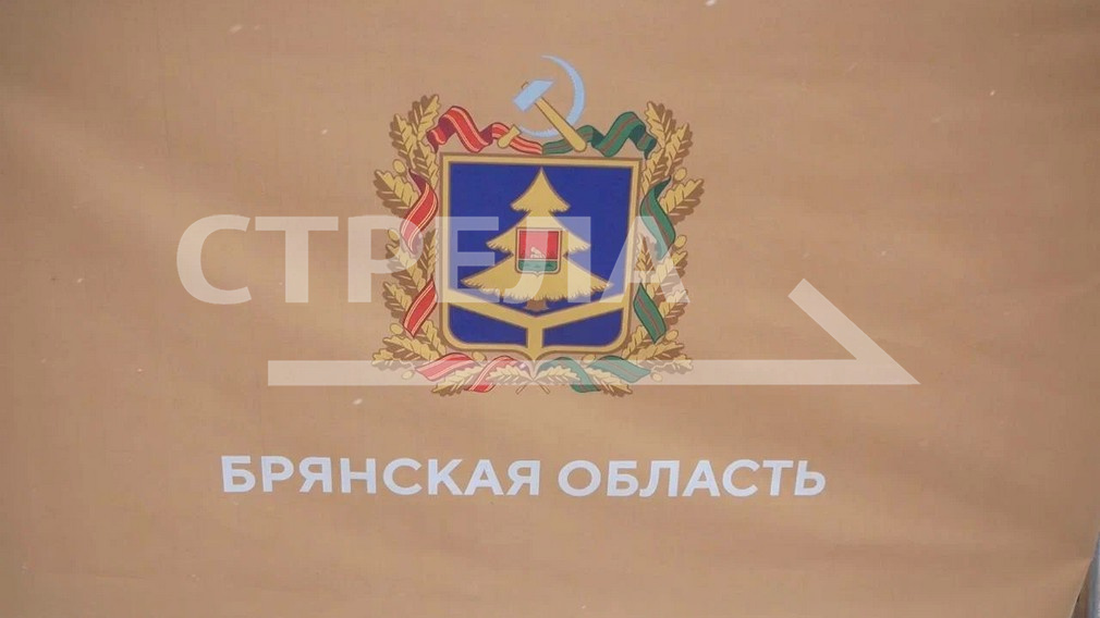 Александра Богомаза наградили Благодарностью председателя Совета Федерации