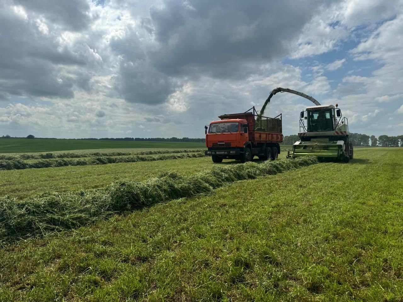 В Севском районе стартовала уборочная страда