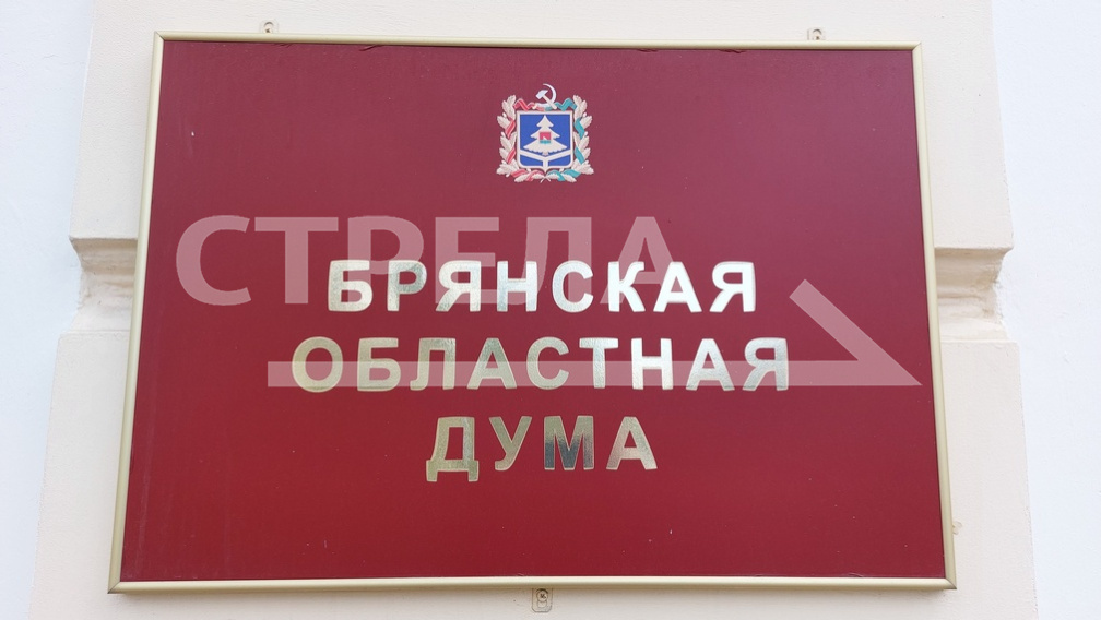 В Брянске депутаты на заседании обсудили реализацию нацпроекта «Экология»