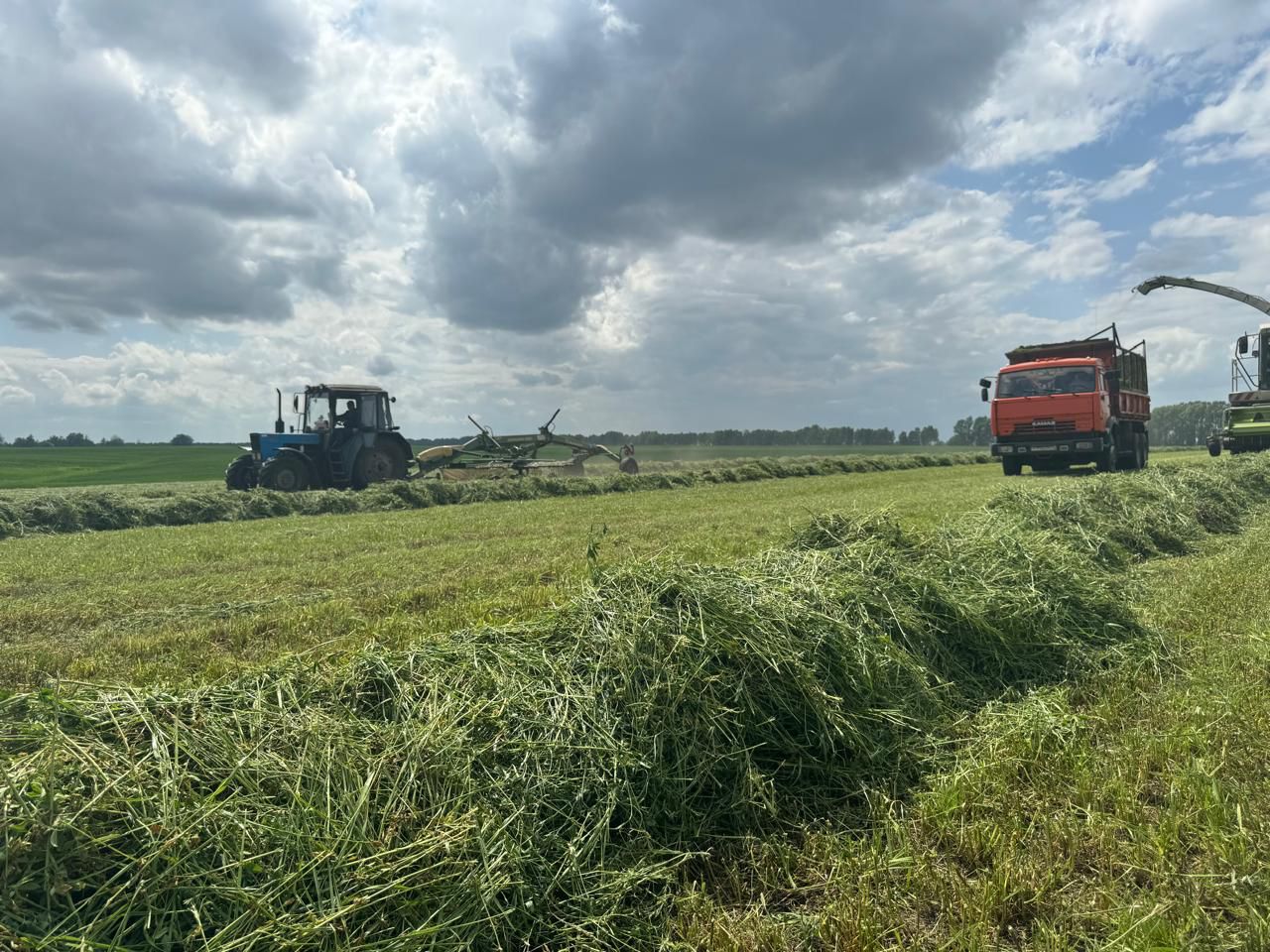 В Севском районе горячая пора: заготовка кормов для животных
