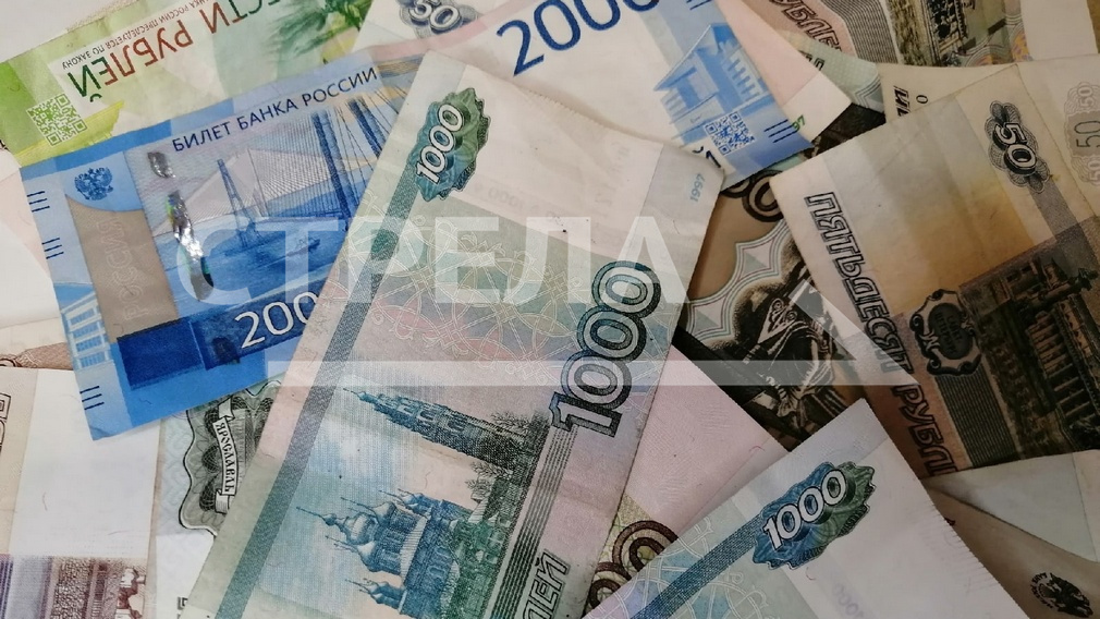 В Брянской области ввели новую меру поддержки многодетных семей