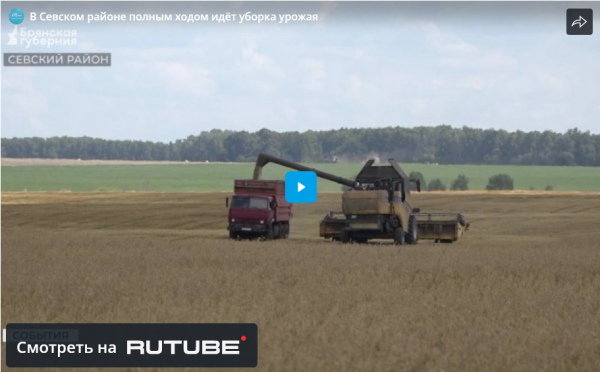 В Севском районе полным ходом идёт уборка урожая