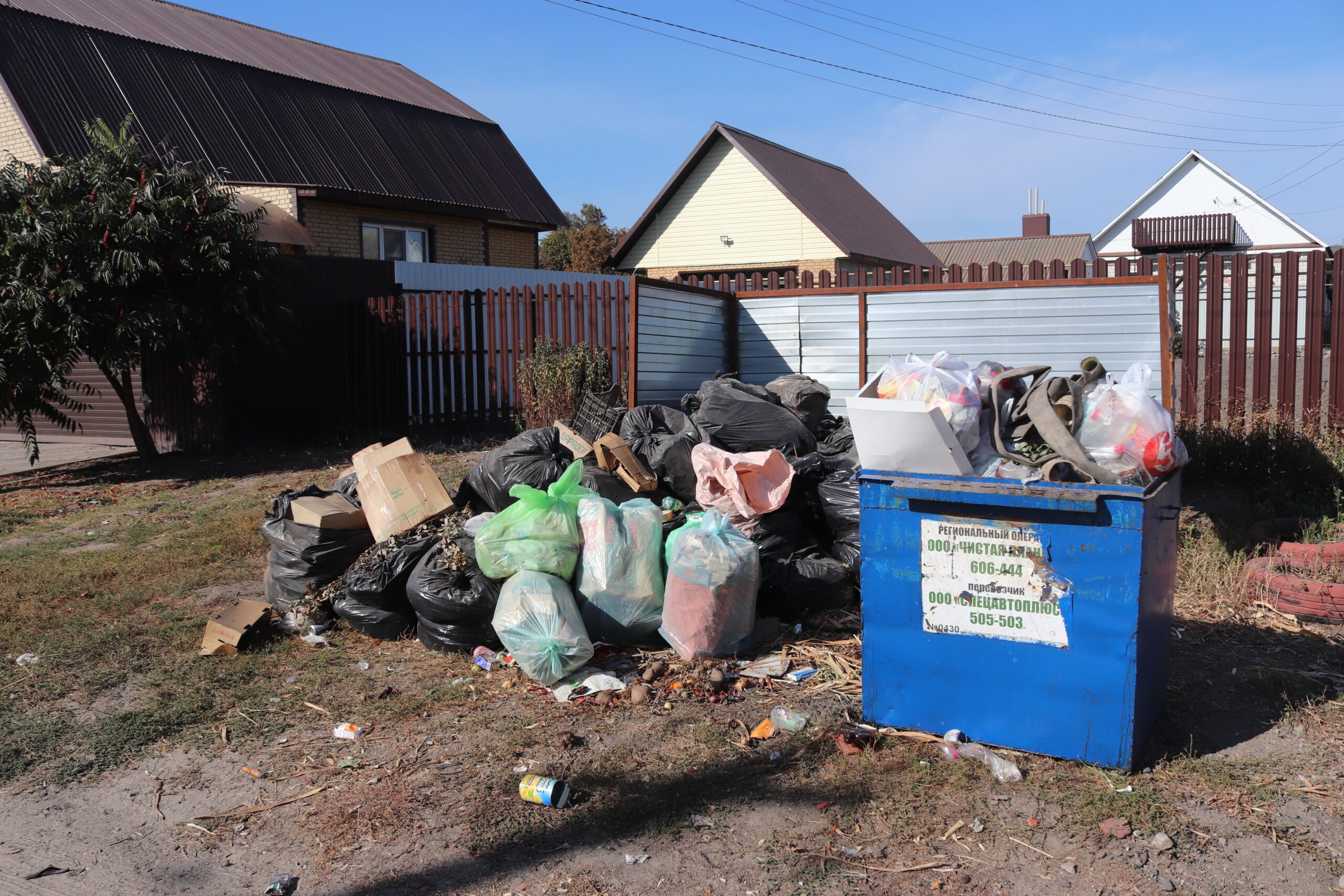 «Ночные кладоискатели»