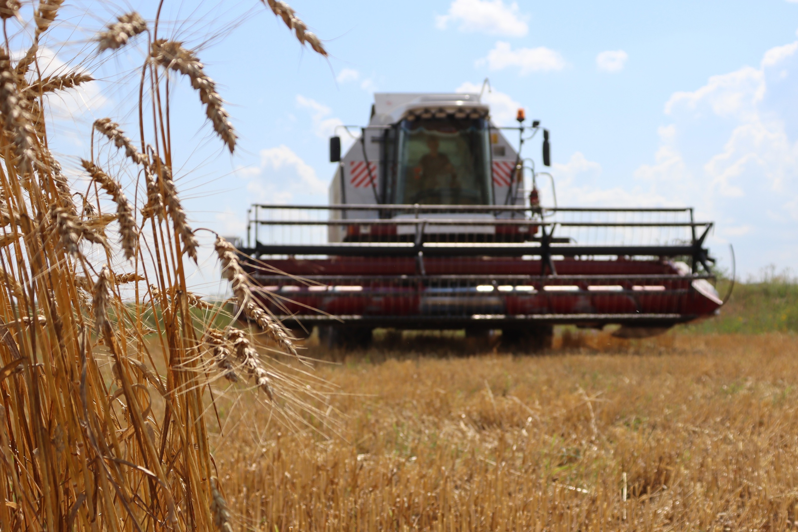 Уборка зерновых в Севском районе на завершающем этапе
