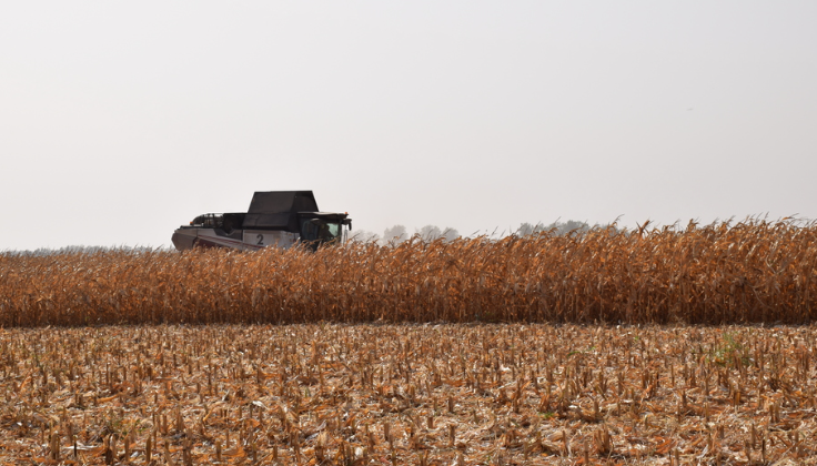 В Климовском районе подведены итоги сельскохозяйственного года