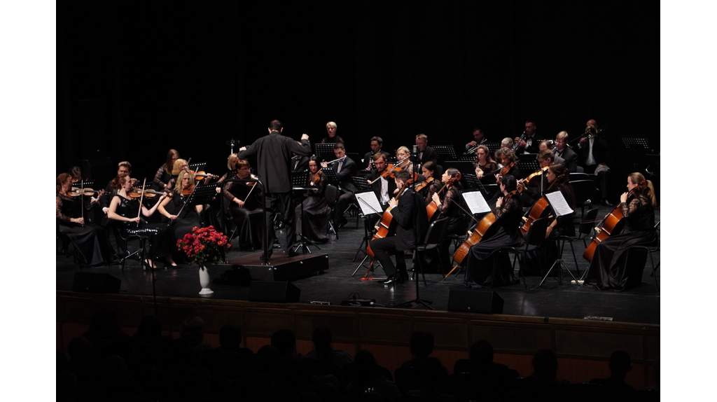 Брянская областная филармония открыла симфонический сезон