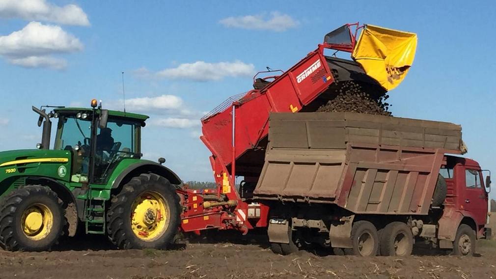 На Брянщине в этом году произведено порядка 1,2 миллиона тонн картофеля