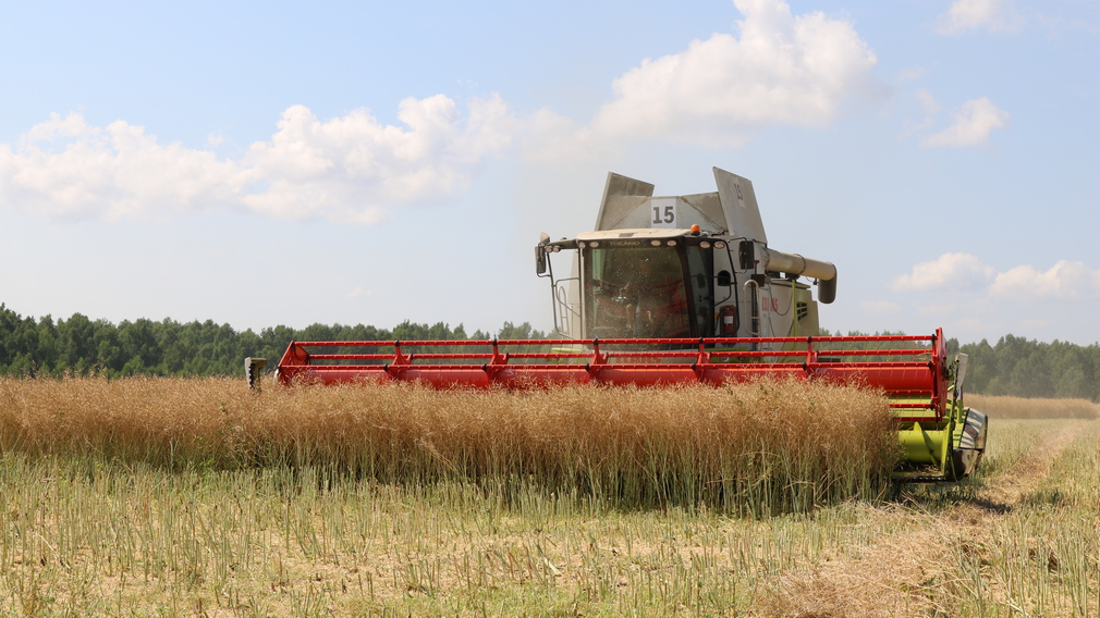 В 2024 году Комаричский район в очередной раз показал высокие результаты в аграрной сфере