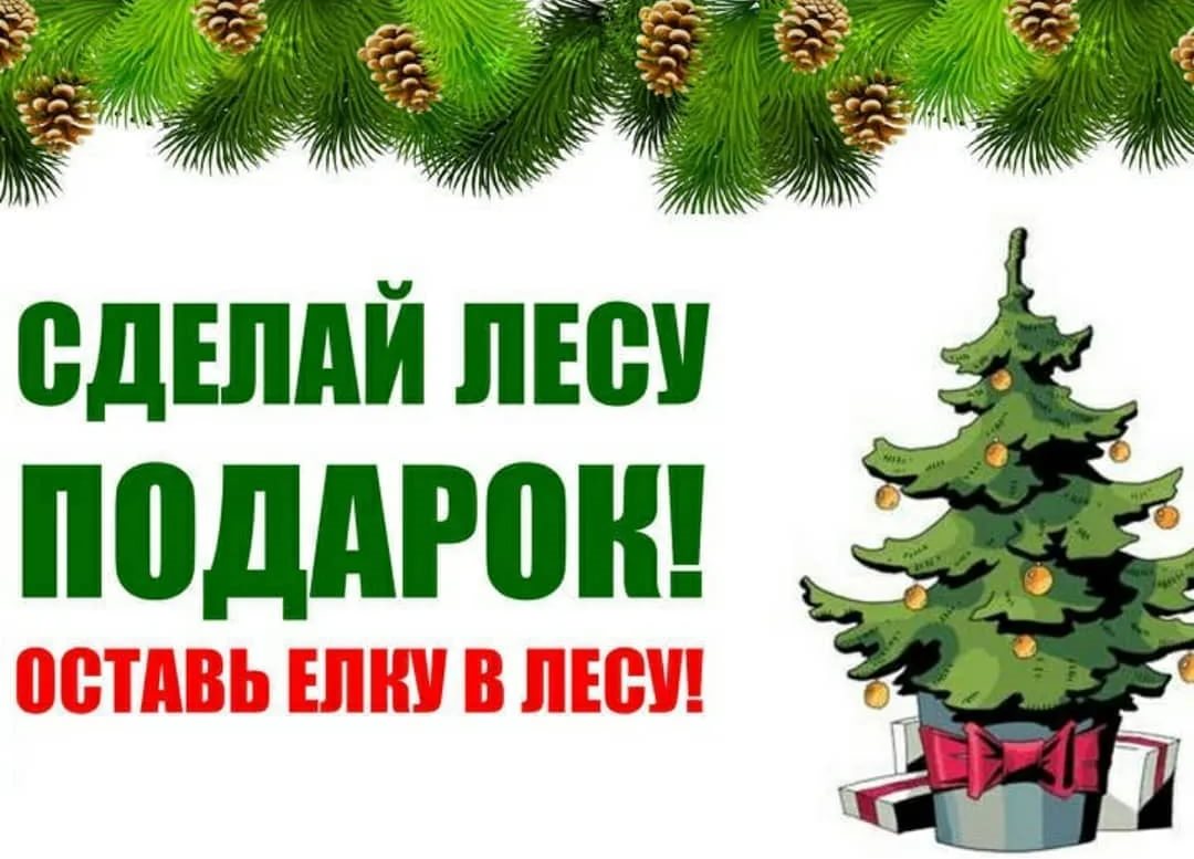 Сделай лесу подарок!
