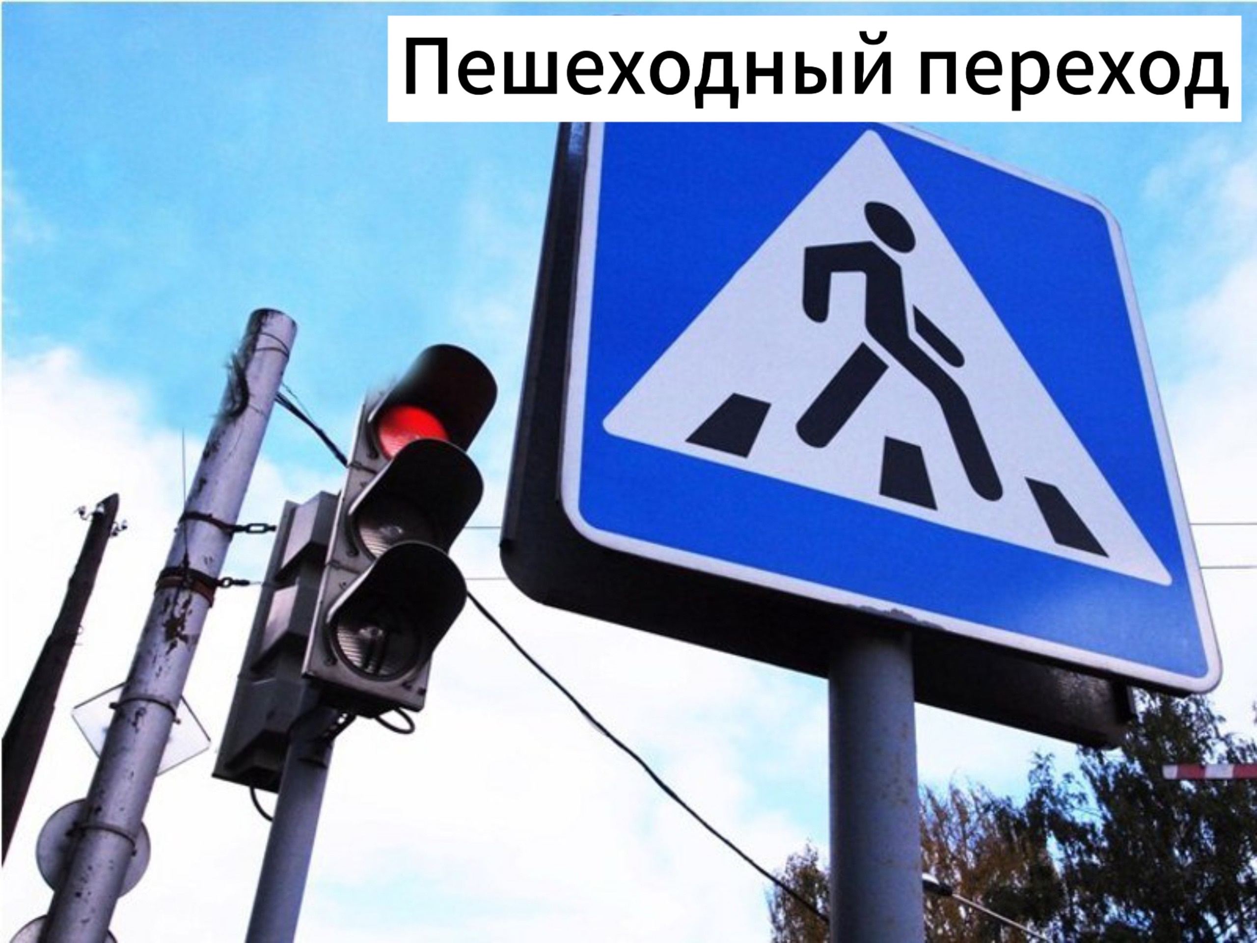 Пешеходы за безопасность: вместе создаем безопасные улицы! 