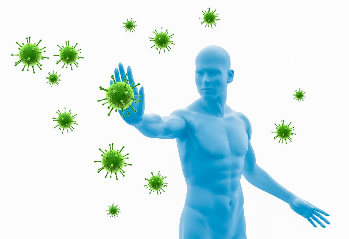 Что такое иммунитет?