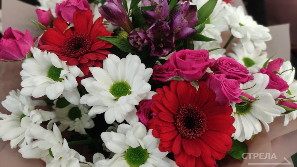 Александр Богомаз поздравил двух брянцев с высокими госнаградами