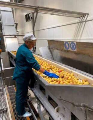 Новый участник федерального проекта «Производительность труда» приступает к реализации мероприятий