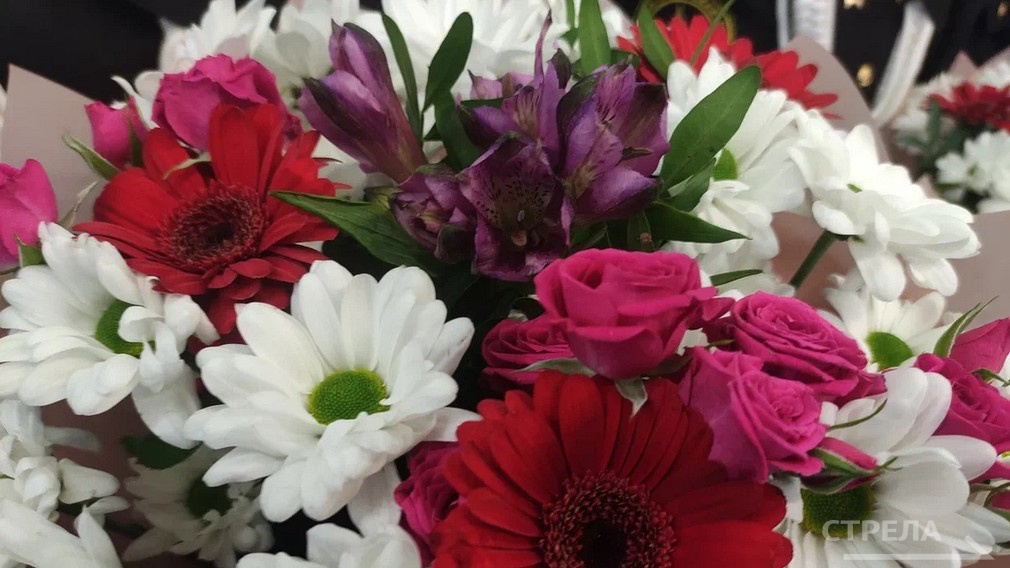 Брянским артистам присвоили звание заслуженных