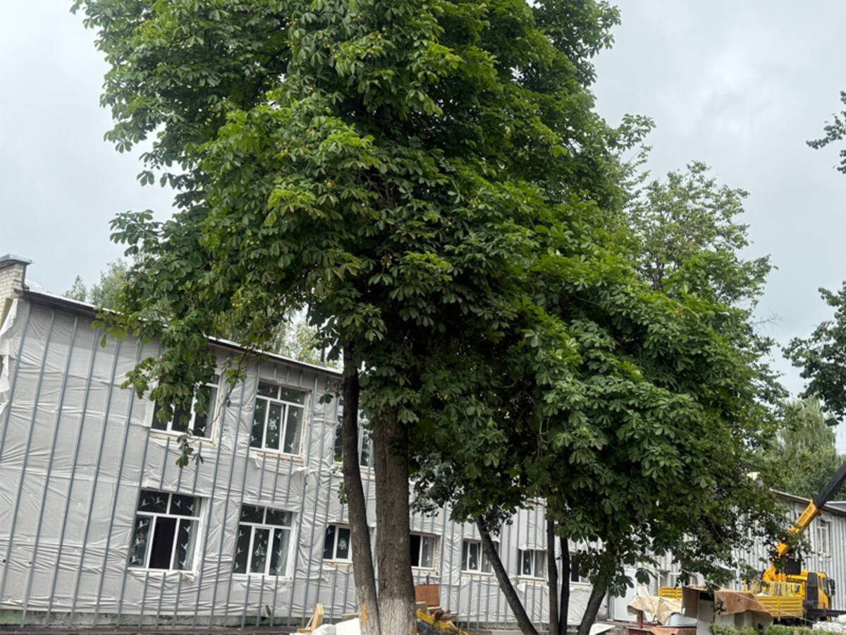 Ремонт детсада «Солнышко» в Жуковке перешагнул «экватор»