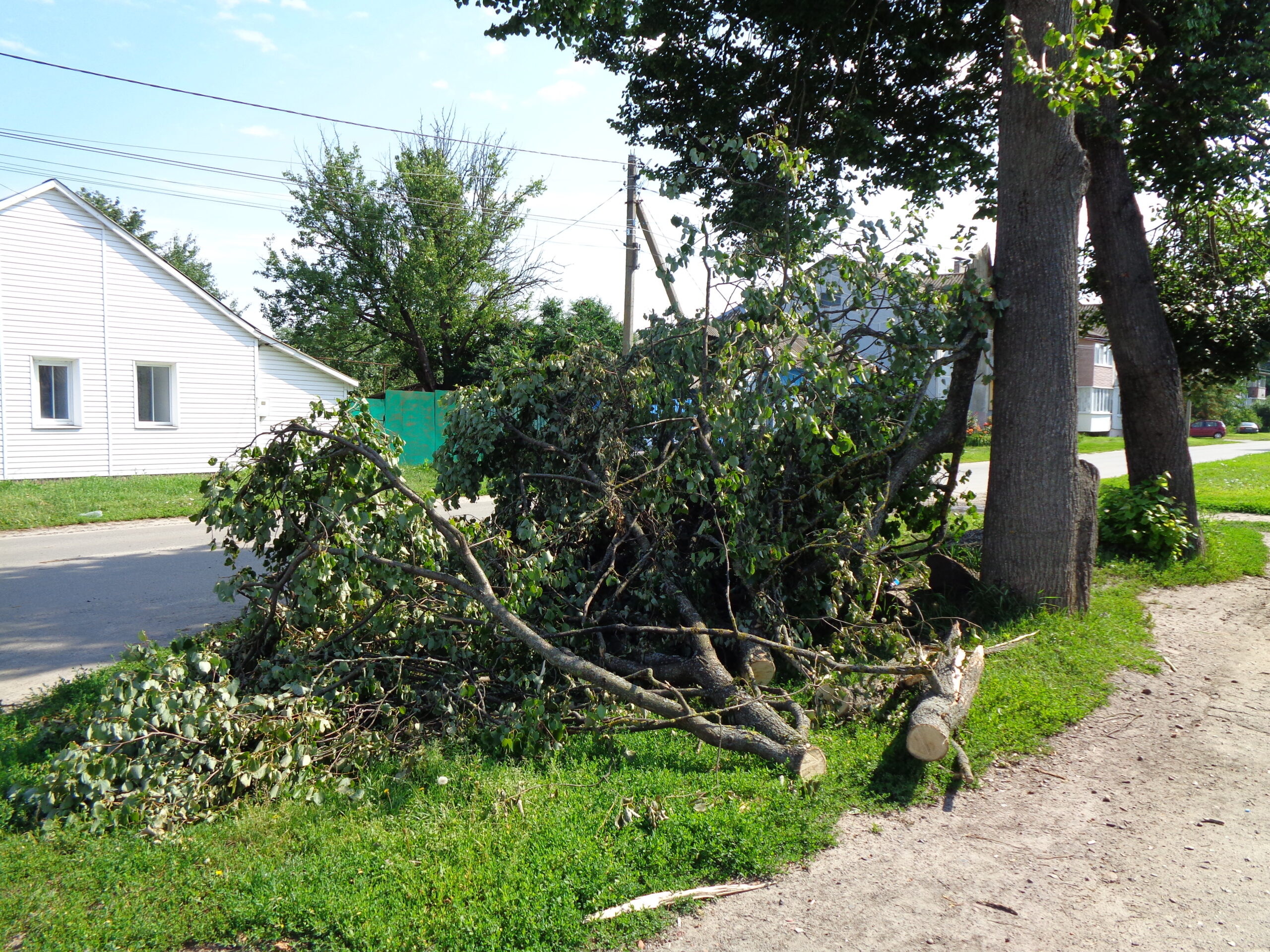 Севский район восстанавливается после разбушевавшейся непогоды