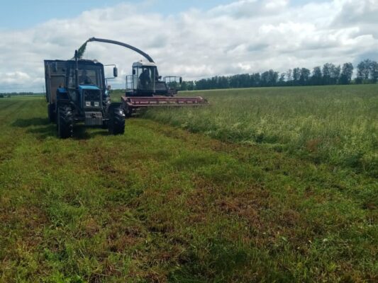 В Красногорском районе Брянской области продолжается заготовка кормов