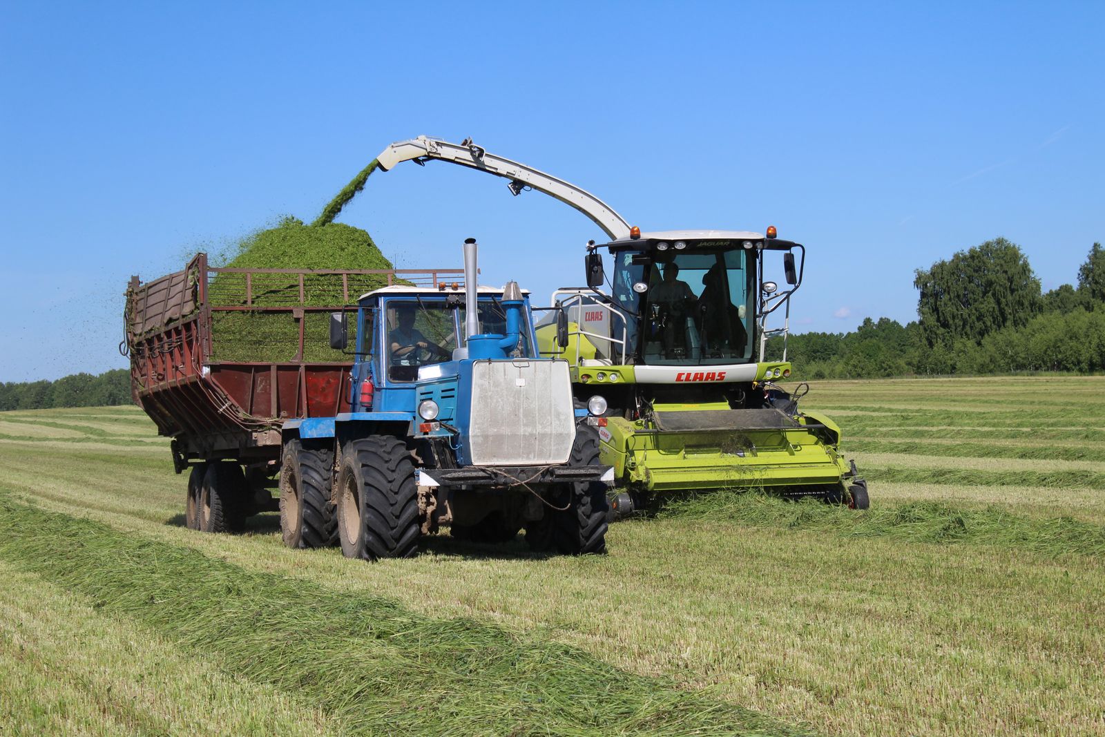 На сенокосных лугах и полях Севского района продолжается заготовка кормов
