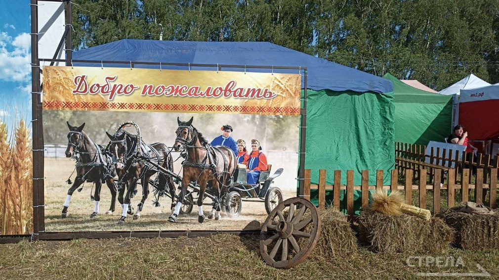 В брянском Кокино работает агропромышленная выставка