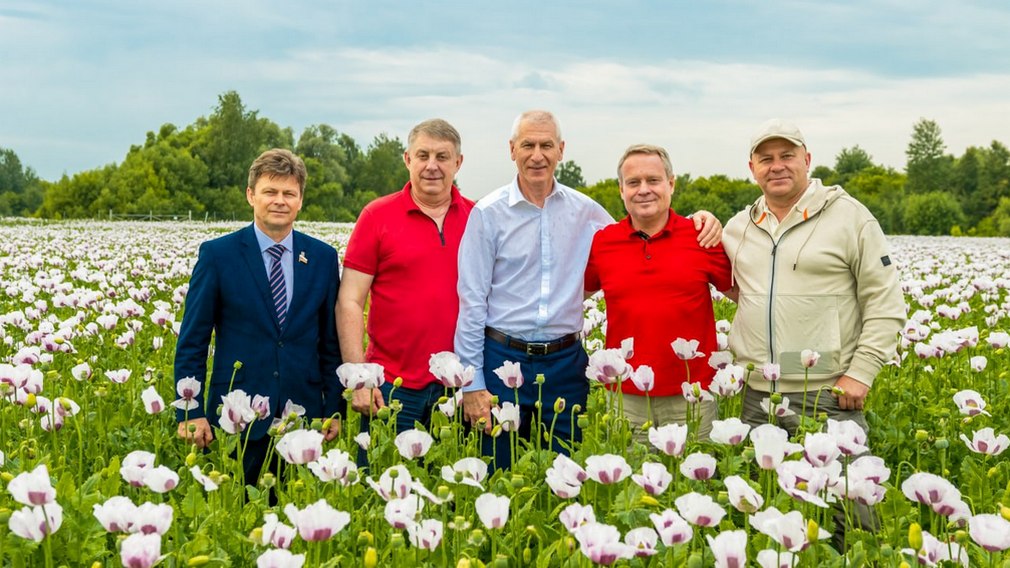 В Брянской области выросла площадь посевов опийного мака