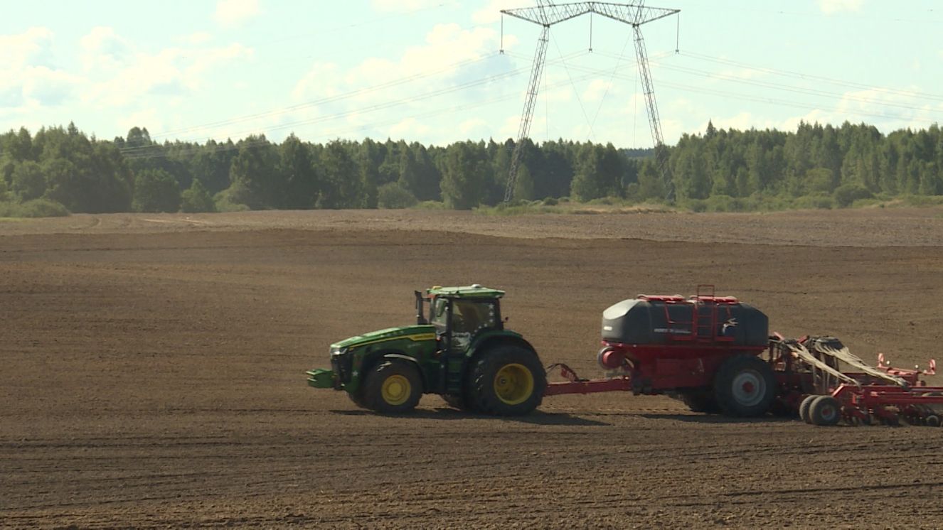 В Брянской области начался сев озимых