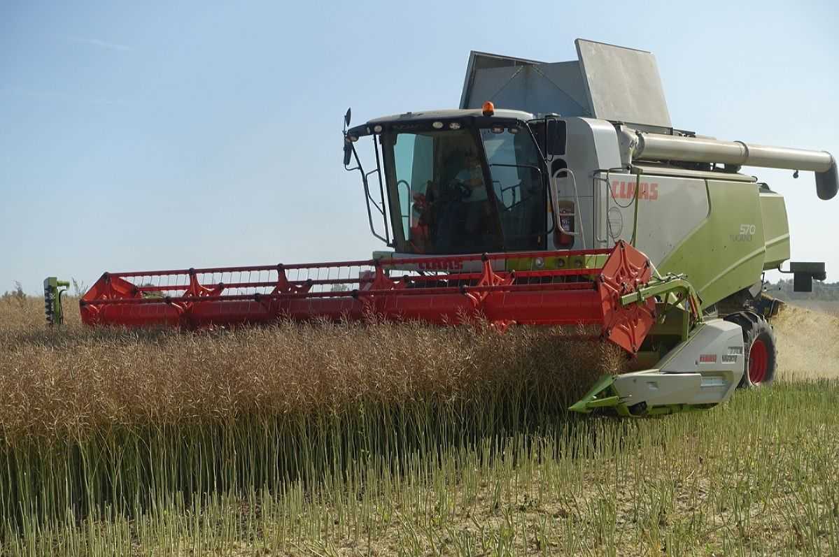 Севские хлеборобы — в лидерах по урожайности и намолоту зерна