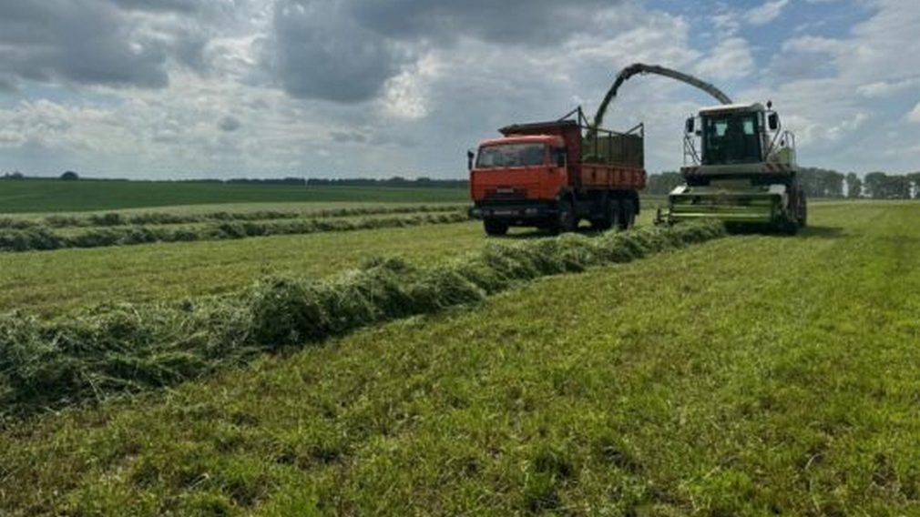 На хлебном поле Севского района
