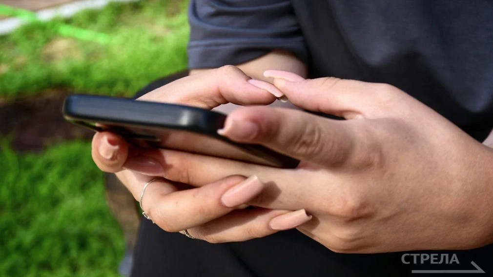 В Брянской области приложение «Радар.НФ» используют более 4611 человек