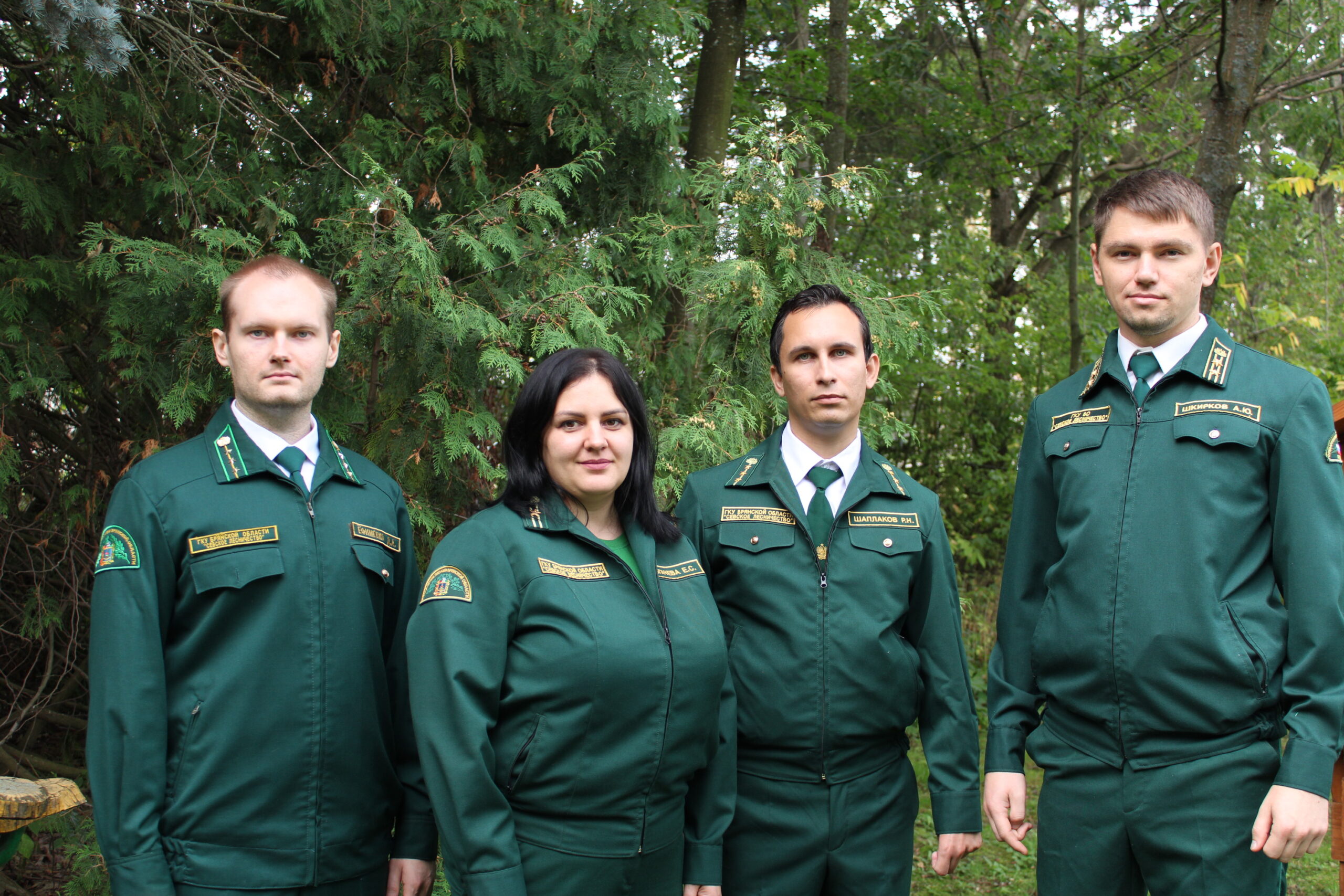 Лес — сложное сочетание множества разнообразных растений