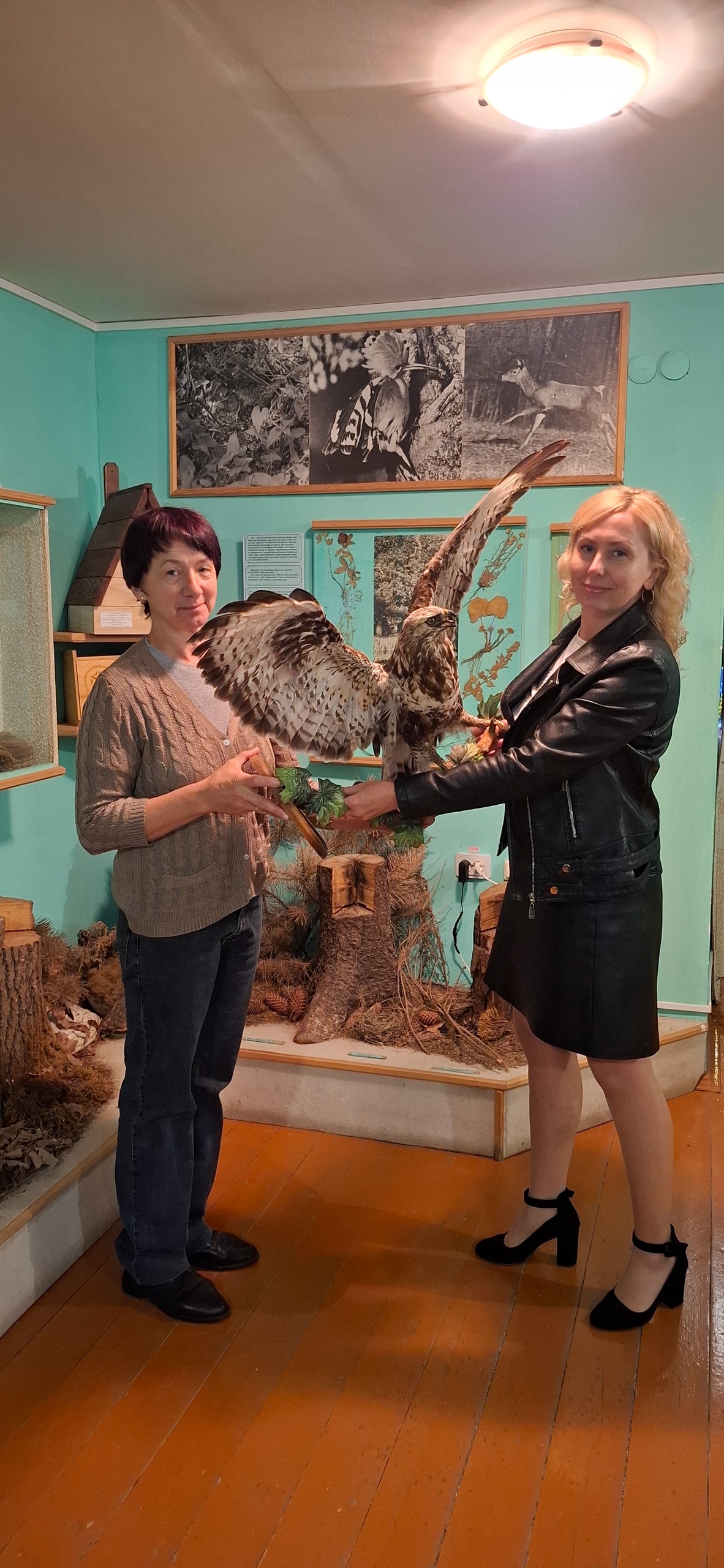 Севскому краеведческому музею подарили чучело ястреба