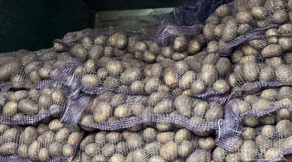 В Брянске на ярмарках выходного дня предлагают сельхозпродукцию по доступным ценам