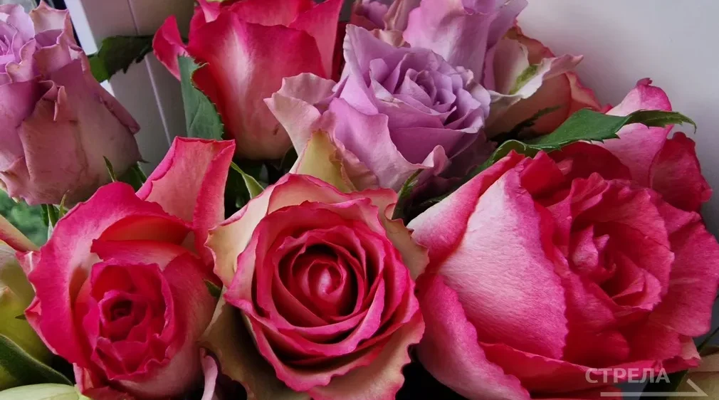 На заседании облдумы поддержали присвоение званий