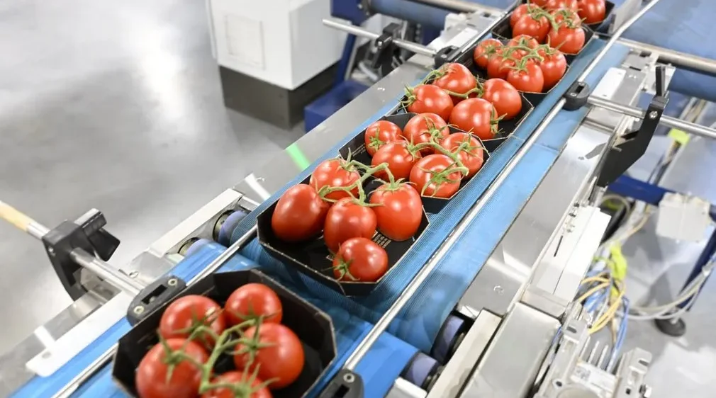 Журиничское сельское поселение динамично развивается по всем направлениям