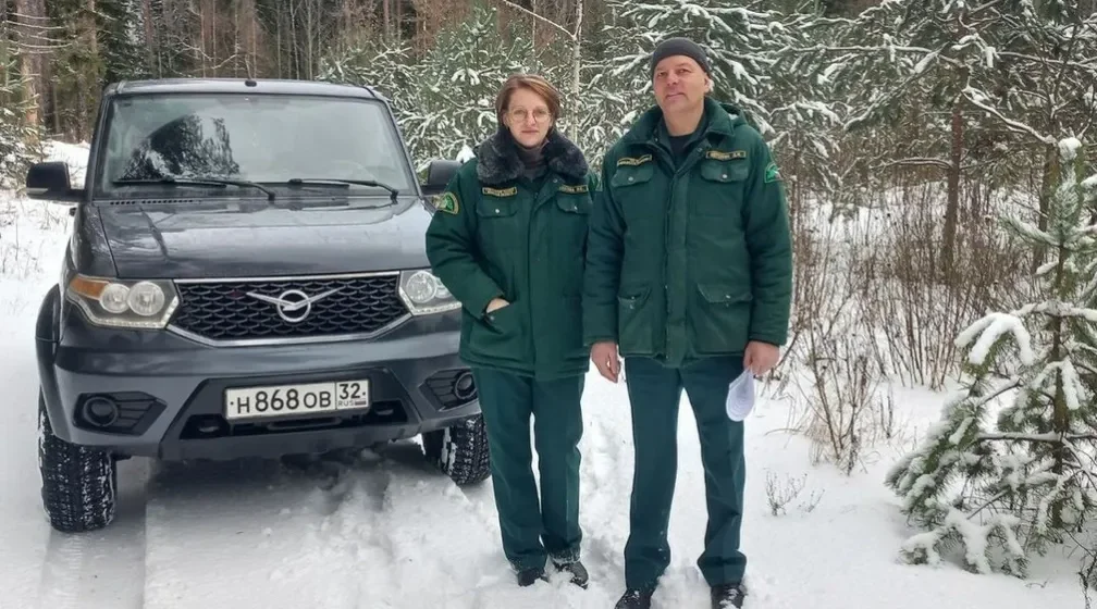 В Брянской области подвели итоги охраны новогодних елей и сосен