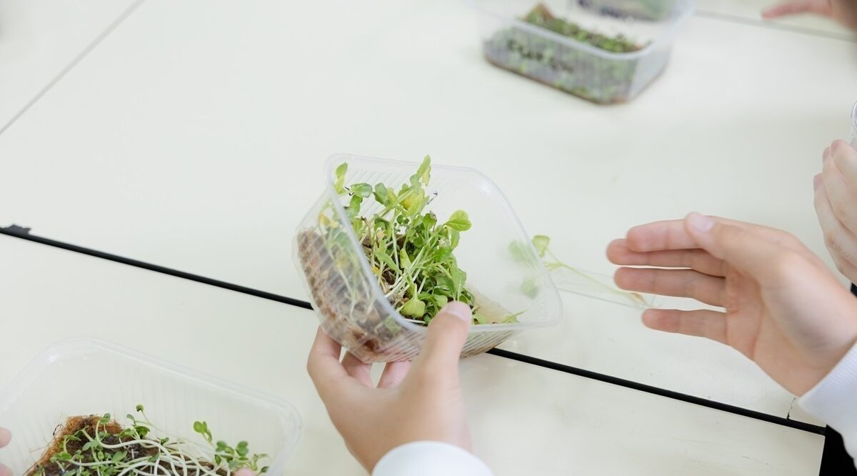 Школьник из Брянска презентовал космический проект на II Саммите талантов в Казахстане