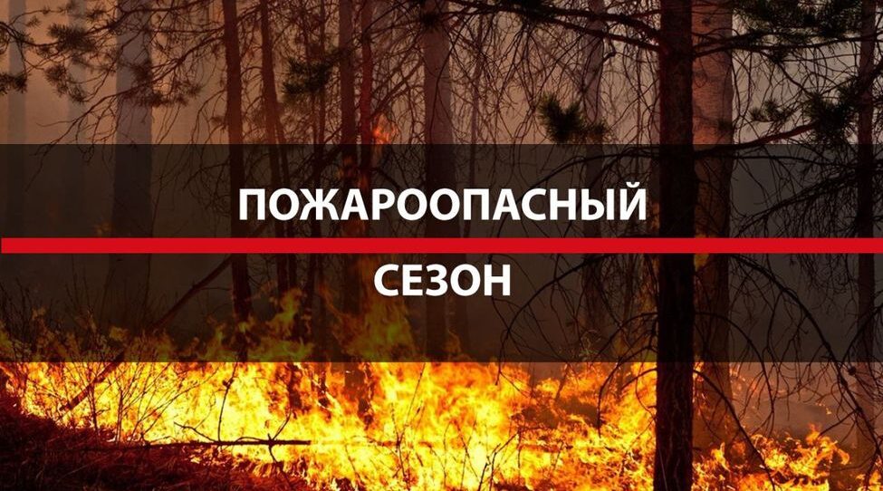 С 6 апреля на землях лесного фонда Брянской области начнет действовать пожароопасный сезон