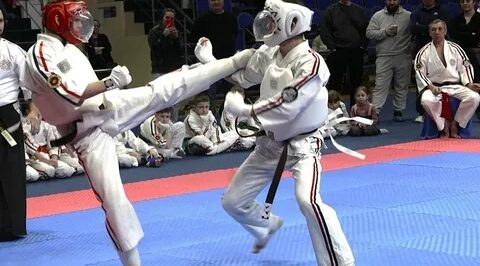 Брянцы триумфально выступили на чемпионате мира по Косики каратэ