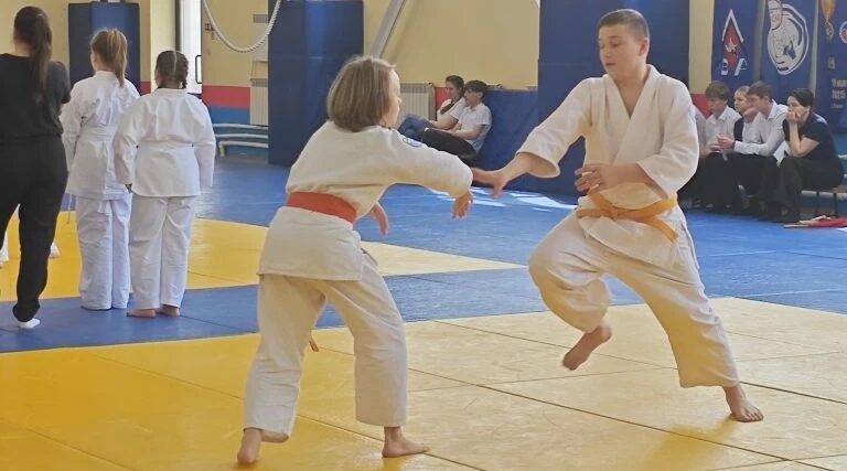 В Брянске разыграли традиционный Кубок Пересвета по айкидо