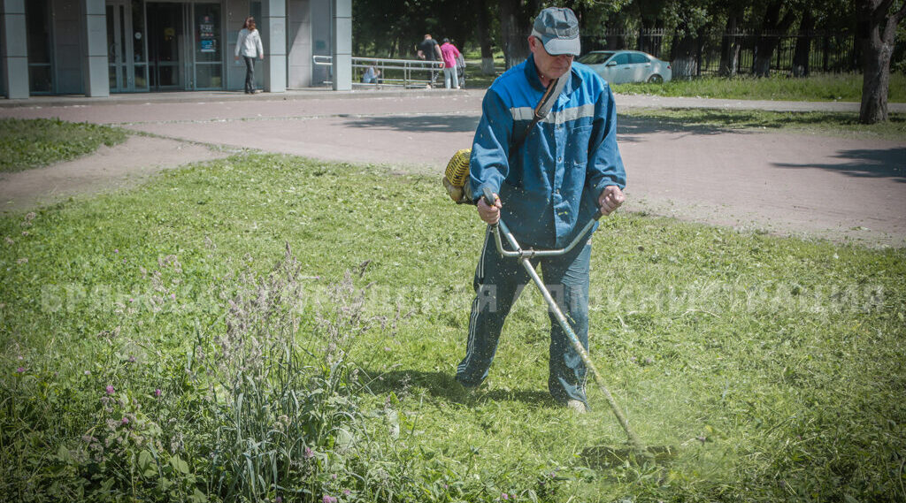За выходные в Брянске скосили более 115 тысяч квадратных метров травы
