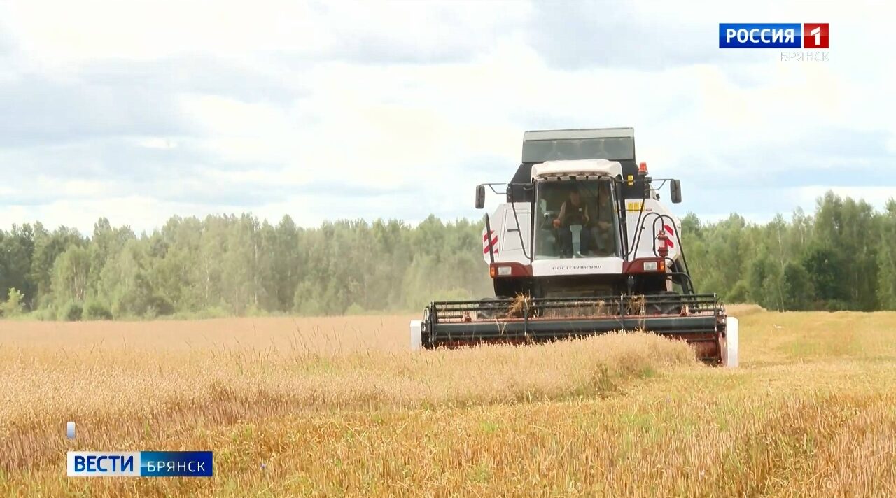 В Брянской области продолжается уборочная кампания