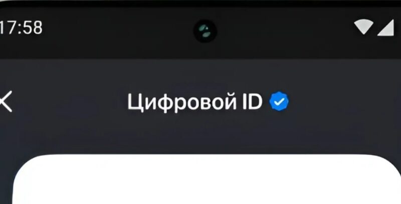 Брянским покупателям рассказали, как использовать Цифровой ID в MAX